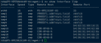 cumulus_lldp_onswitch.png